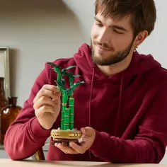 LEGO®: Bambus Norocos Lego (10344) imaginea 3