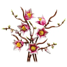 LEGO® Botanicals: Crengi de magnolie (11510) imaginea 2
