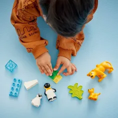 LEGO® DUPLO®: Familii de animale sălbatice: Pinguini și lei (10442) imaginea 3
