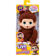 Little Live Pets: Mini Maki Chikki Cherry, maimuță maro interactivă