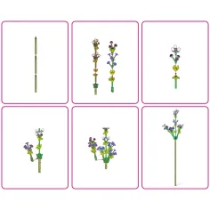 MAX set de construcție cu trandafiri imaginea 3