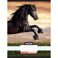 Nebulo: Caiet capsat cu pătrățele - Model cu cal în apus de soare 87-32 A/4