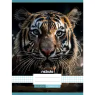 Nebulo: Caiet cu model de tigru pătrat capsat 87-32 A/4