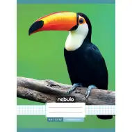 Nebulo: Caiet cu model de tucan pătat, format A4, 87-32
