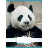 Nebulo: Caiet cu model panda pătrățel capsat 87-32 A/4