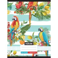 Nebulo: Caiet cu model pătrat dungat, cu papagal imprimeu, capsat, 87-32 A/4