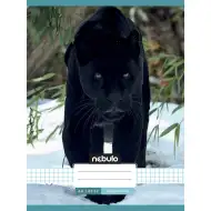 Nebulo: Caiet cu pătrățele capsat, model panteră neagră, 87-32, format A4