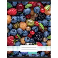 Nebulo: Caiet cu pătrățele, format A/4, cu cotor metalic, cu model de fructe, 87-32