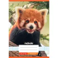 Nebulo: Caiet cu spirală format A5, 27-32, cu model de panda roșu pe copertă în carouri