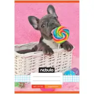 Nebulo: Caiet cu spirală format A5, tip 27-32, cu model de buldog francez și copertă în carouri