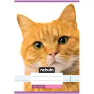 Nebulo: Caiet dictando clasă a 4-a, copertă roșie cu model de pisică, format A5, 21-32
