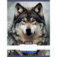 Nebulo: Caiet dictando cu model de lup 81-32 A/4