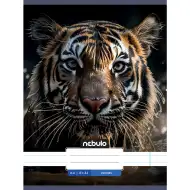 Nebulo: Caiet dictando cu model de tigru 81-32 A/4