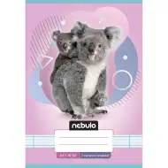 Nebulo: Caiet liniat capsat pentru clasa a 2-a, format A5, 16-32 pagini, cu animale - cu koala