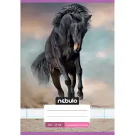 Nebulo: Caiet liniat pentru clasa a 3-a, format A5, 12-32, modele drăguțe - cu cai