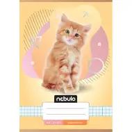 Nebulo: Caiet pătrățel cu model de pisică A/5 27-32