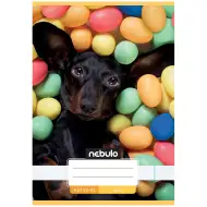 Nebulo: Caiet simplu A/5, 20-32 file, cu coperți capsate, model drăguț cu teckel