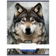 Nebulo: Caiet simplu Farkas A4 80-32