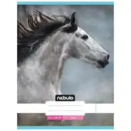 Nebulo: Caiet simplu cu copertă gri, A4, 80-32