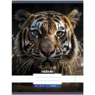 Nebulo: Caiet simplu cu tigru A4 80-32