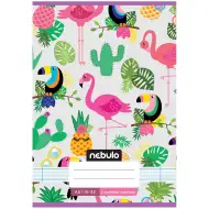 Nebulo: Caiet tip dictando, format A5, cu linii, pentru clasa a 2-a, cu model de tucan, 16-32 file, capsat