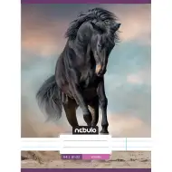 Nebulo: Cal în nisip caiet dictando 81-32 A/4