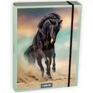 Nebulo: Cutie pentru caiete, format A5, cu model cu cai