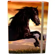 Nebulo: Cutie pentru caiete, format A5, cu model de cal negru