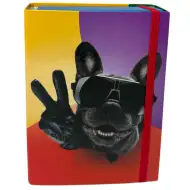 Nebulo: Cutie pentru caiete, mărime A/5, cu un model cool de buldog
