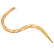 PlayBox: Set de 6 șerpi din lemn