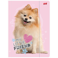 Prietenul meu mic — Pomeranian dulce — dosar cu elastic, format A4