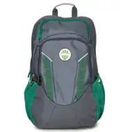 Rucsac mare gri de școală cu emblema Fradi