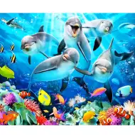 Set de pictură cu diamante: Delfini 40x50cm