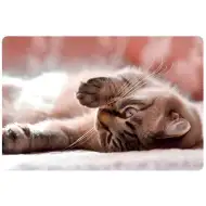 Spirit: Little Cat suport de carte pentru birou 60x40cm