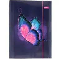 Spirit: Mapă elastică cu fluturi Butterfly A/4