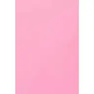 Spirit: Placă de burete roz pal A4 de 2mm.
