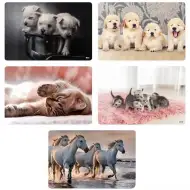 Spirit: Suport de carte pentru animale, disponibil în mai multe variante, 60x40cm.