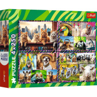 Animale hazlii puzzle 4x250 piese - Trefl