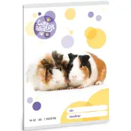 Ars Una: Animale simpatice - porcușor de Guineea pentru clasa a 2-a 32 file A5