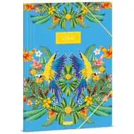 Ars Una: Catalina Estrada Araratiti mapă cu elastic mărimea A4