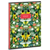 Ars Una: Catalina Estrada Carriqui extra capse A4 caiet cu linii pentru clasa 4-a