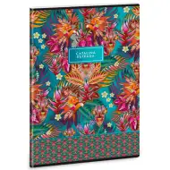 Ars Una: Catalina Estrada Guaviare-Blue extra capse A4 caiet cu lnii pentru clasa 4-a