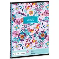 Ars Una: Catalina Estrada libelulă caiet cu linii pentru clasa 2-a A5 16-32