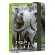 Ars Una: Serenity Elefant mapă pentru caiet A5