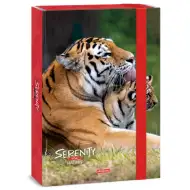 Ars Una: Serenity Tiger - tigru A4 mapă pentru caiete cu grosimea coloanei de 4cm