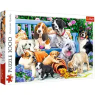 Căței în parc 1000 bucăți puzzle - Trefl