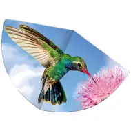Colibri zmeu