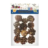 Con de brad uscat pachet de 12 bucăți