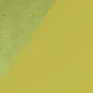 Decorativ carton culoarea kaki 10 bucăţi B4