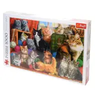 Întâlnire 1000 bucăți puzzle - Trefl